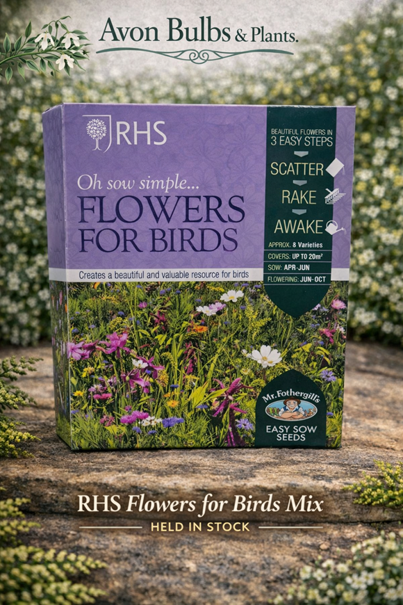 Flowers for Birds Mix
