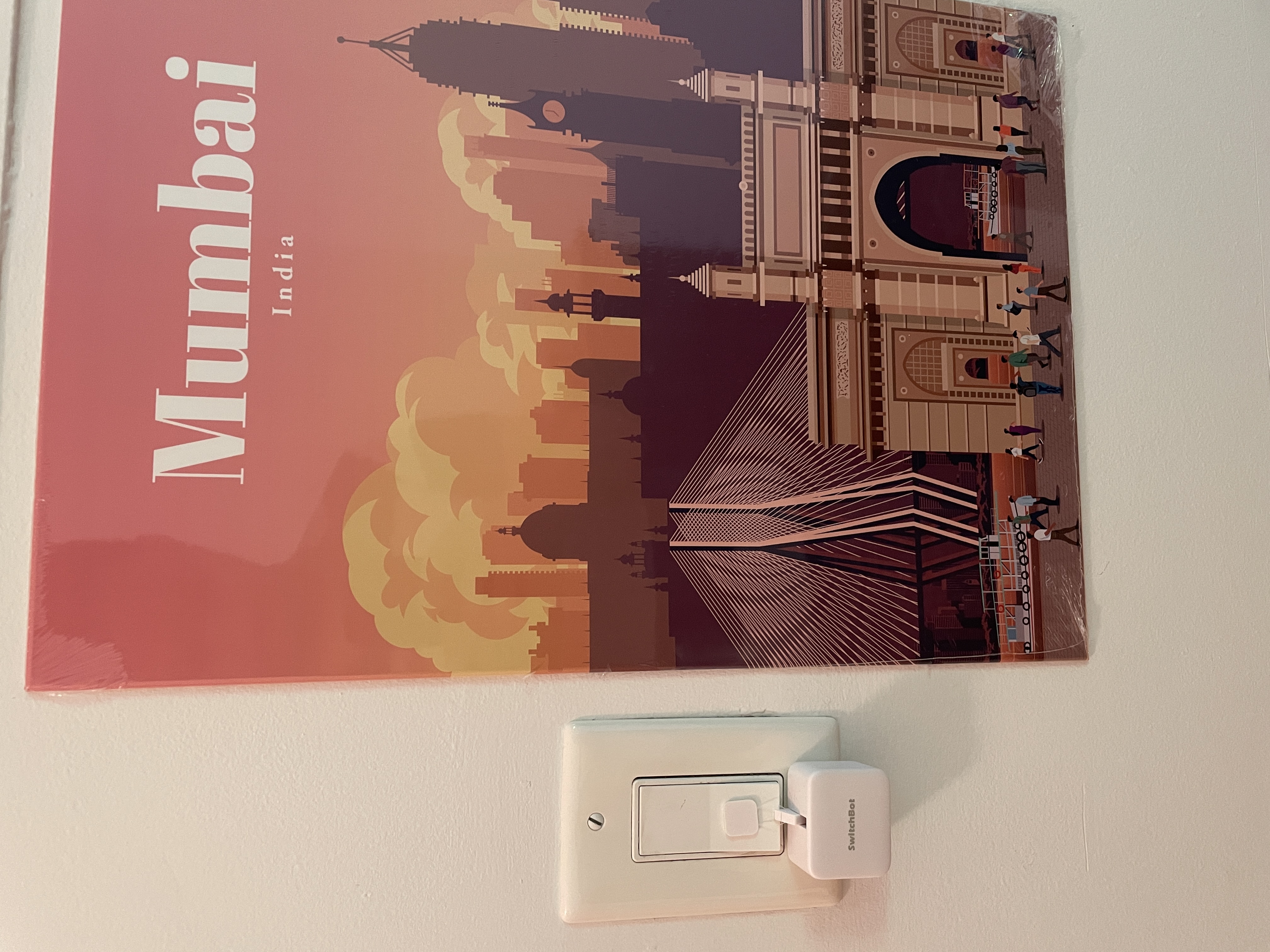 Switchbot switch