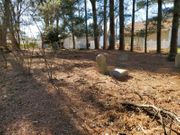 Gate Of Heaven Cemetery Silver Spring Montgomery Maryland United States Billiongraves Cemetery And Images