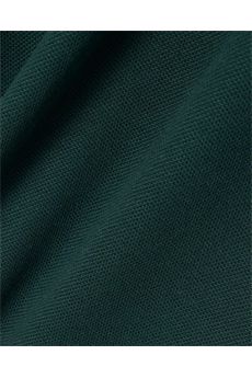 Polo da uomo di colore verde Lacoste | L1212AFK