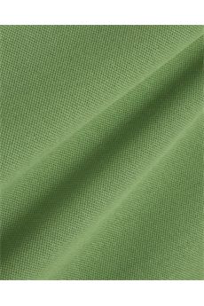 Polo da uomo di colore verde Lacoste | PH401202M
