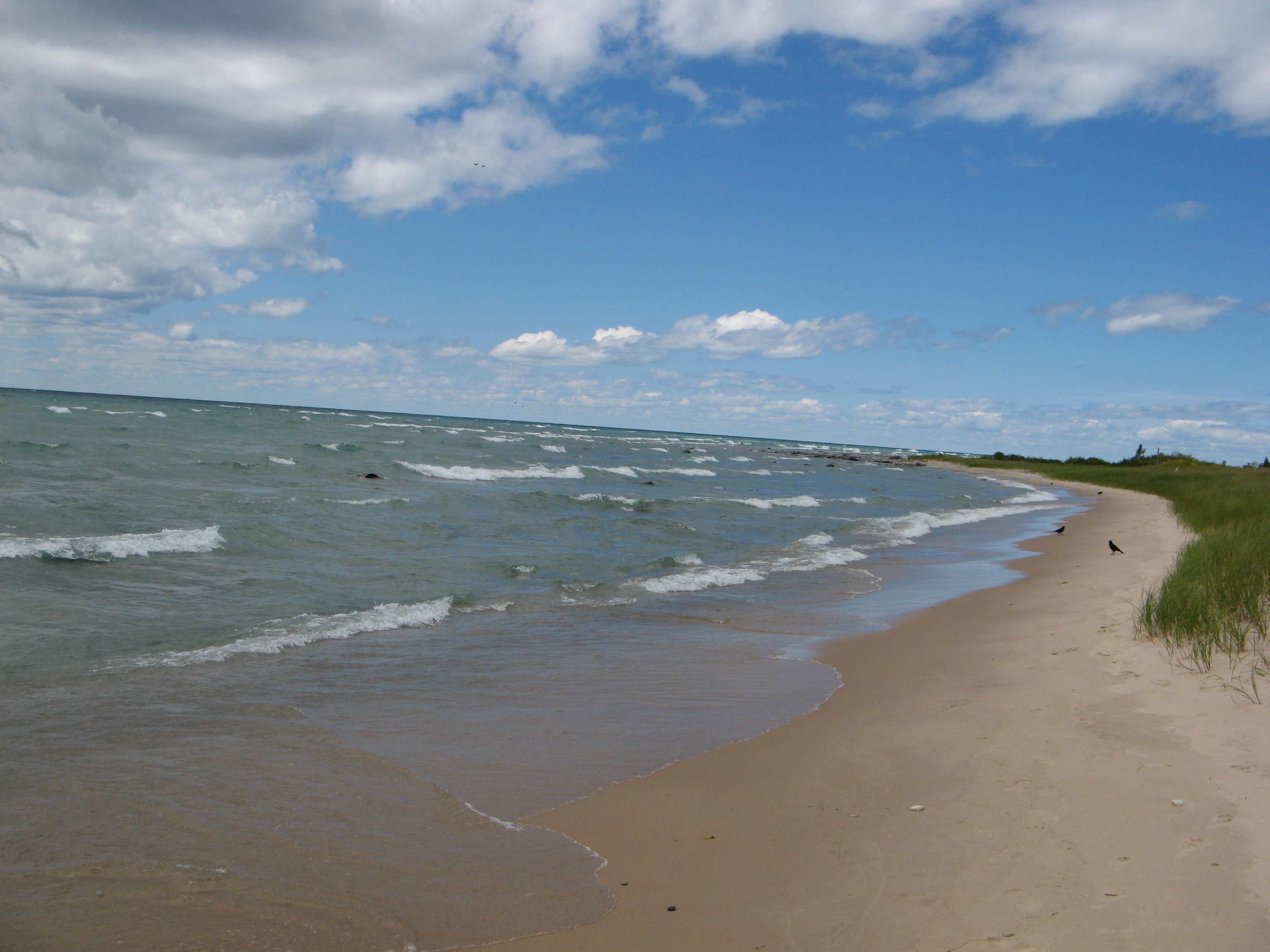 To the Beach and Back The Art Coast of Michigan, Just One Tank Away