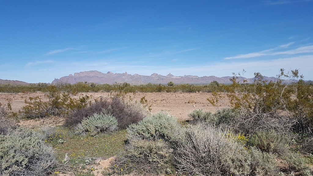 Desert Range