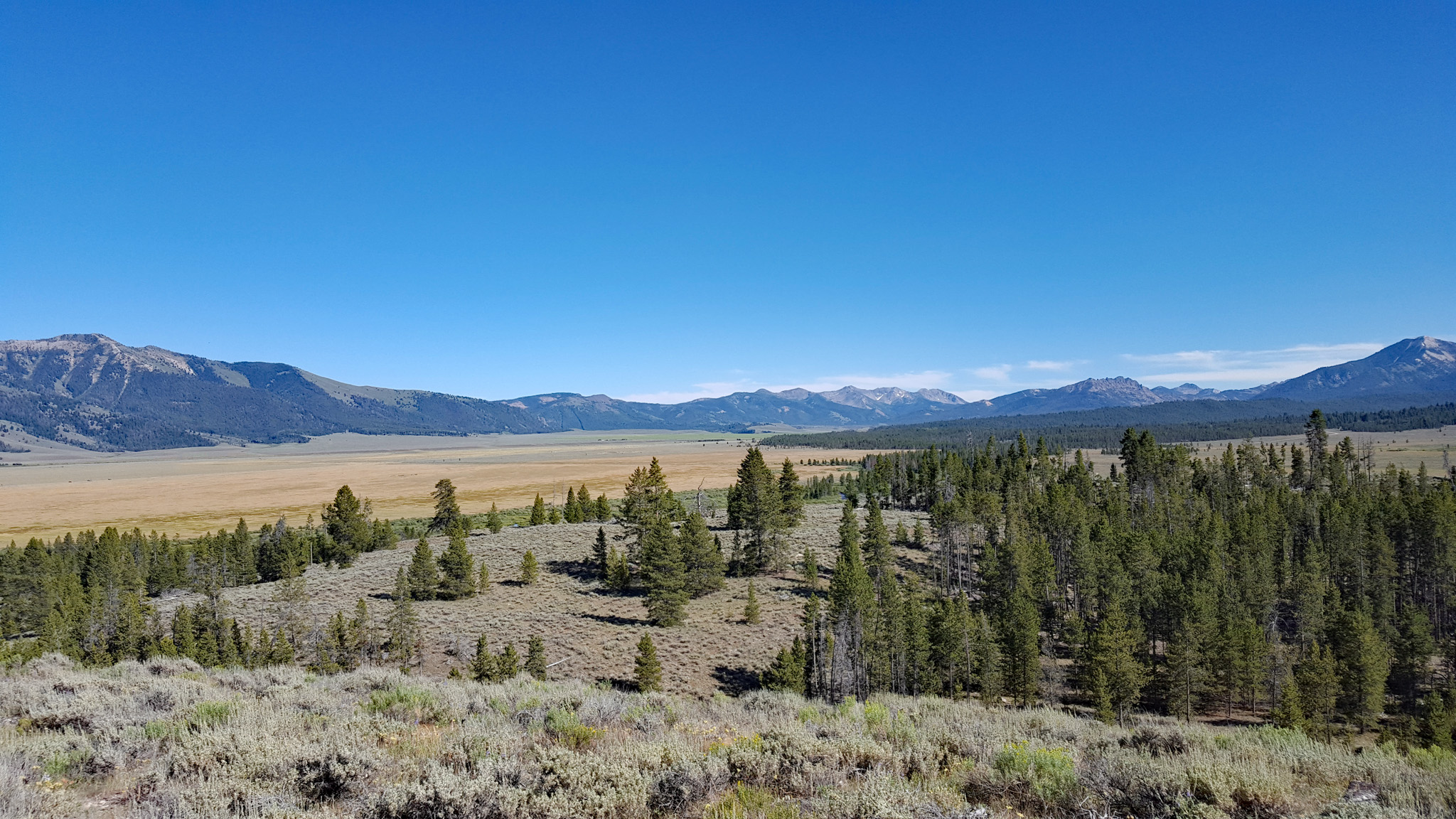 Near Pettit Lake
