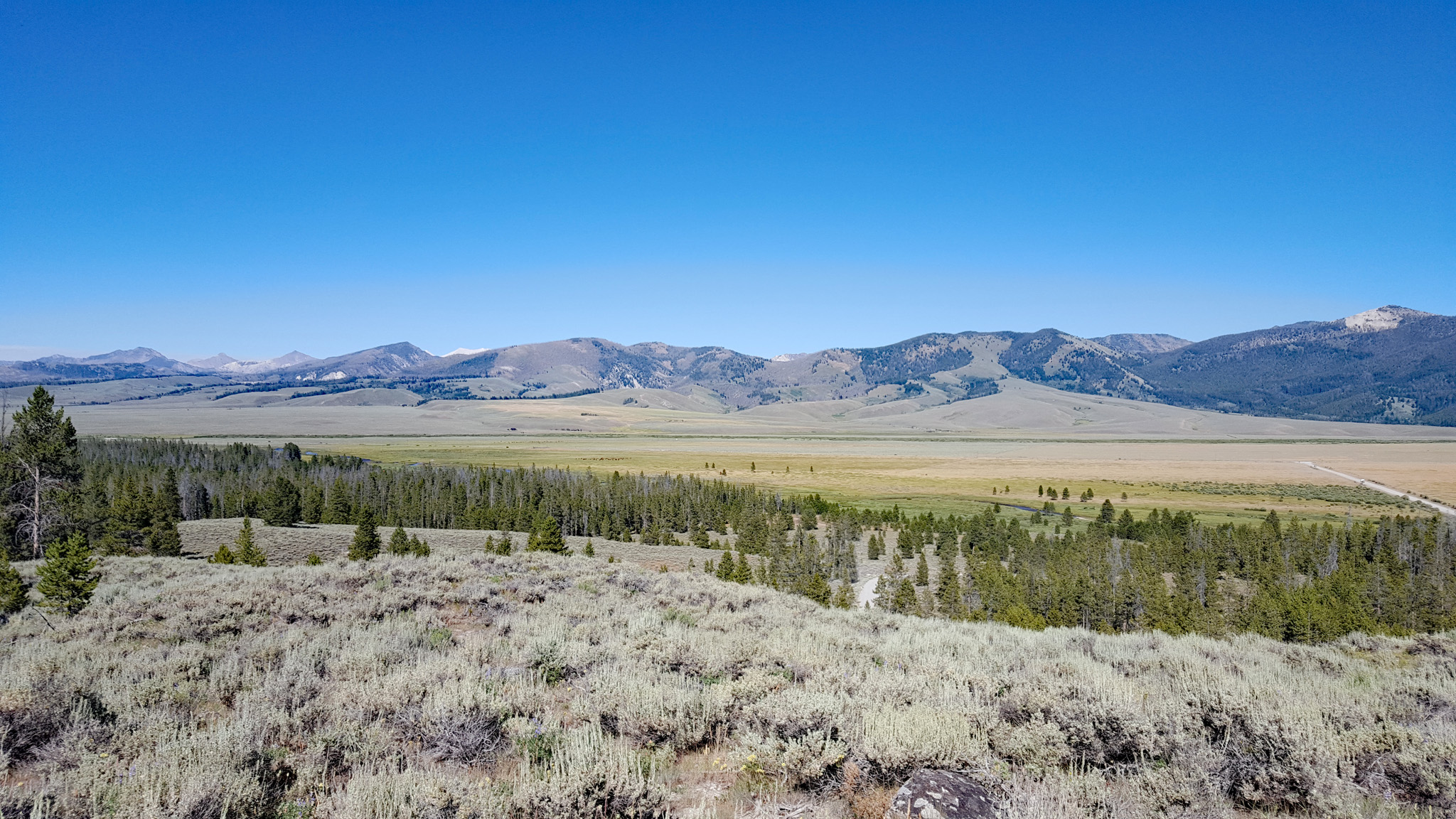 Near Pettit Lake