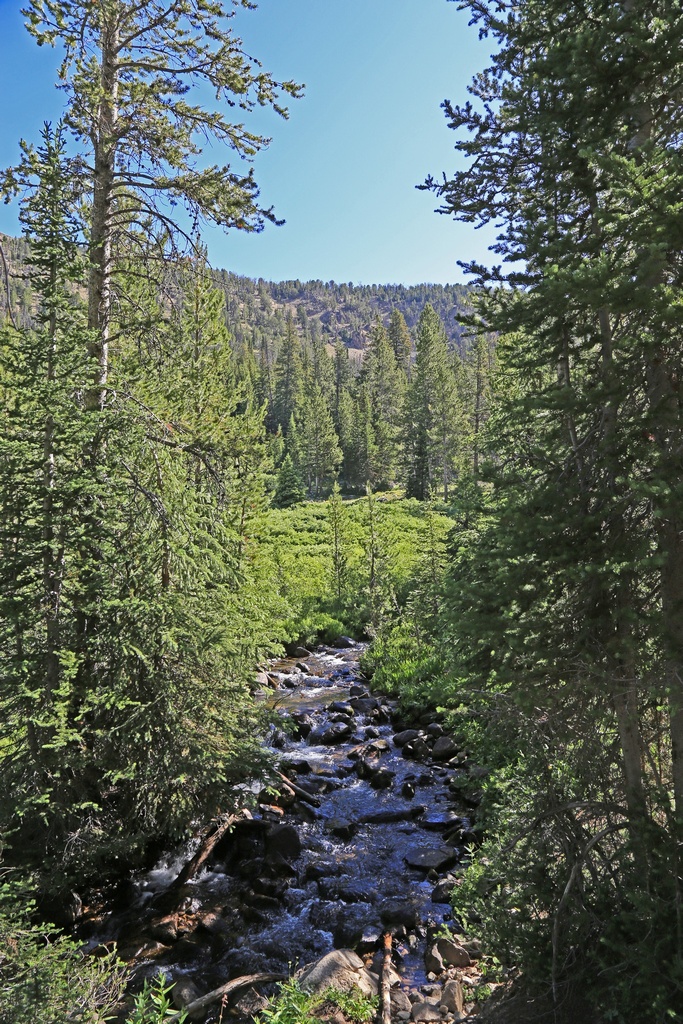 Washington Lake