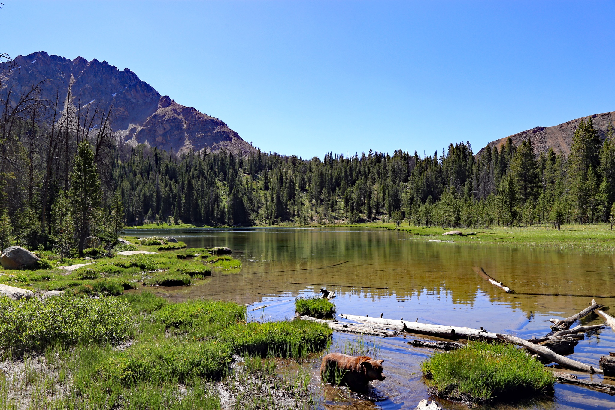 Washington Lake