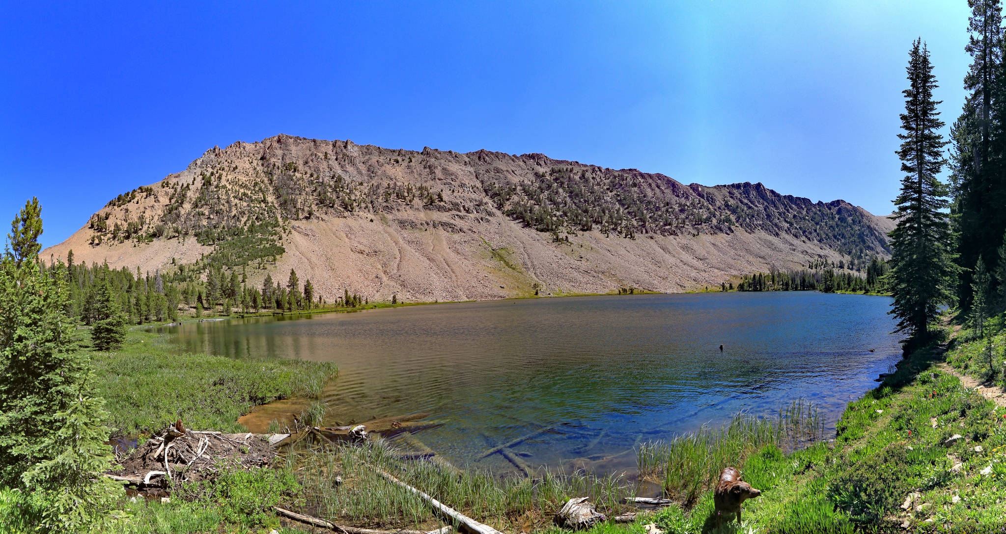 Washington Lake