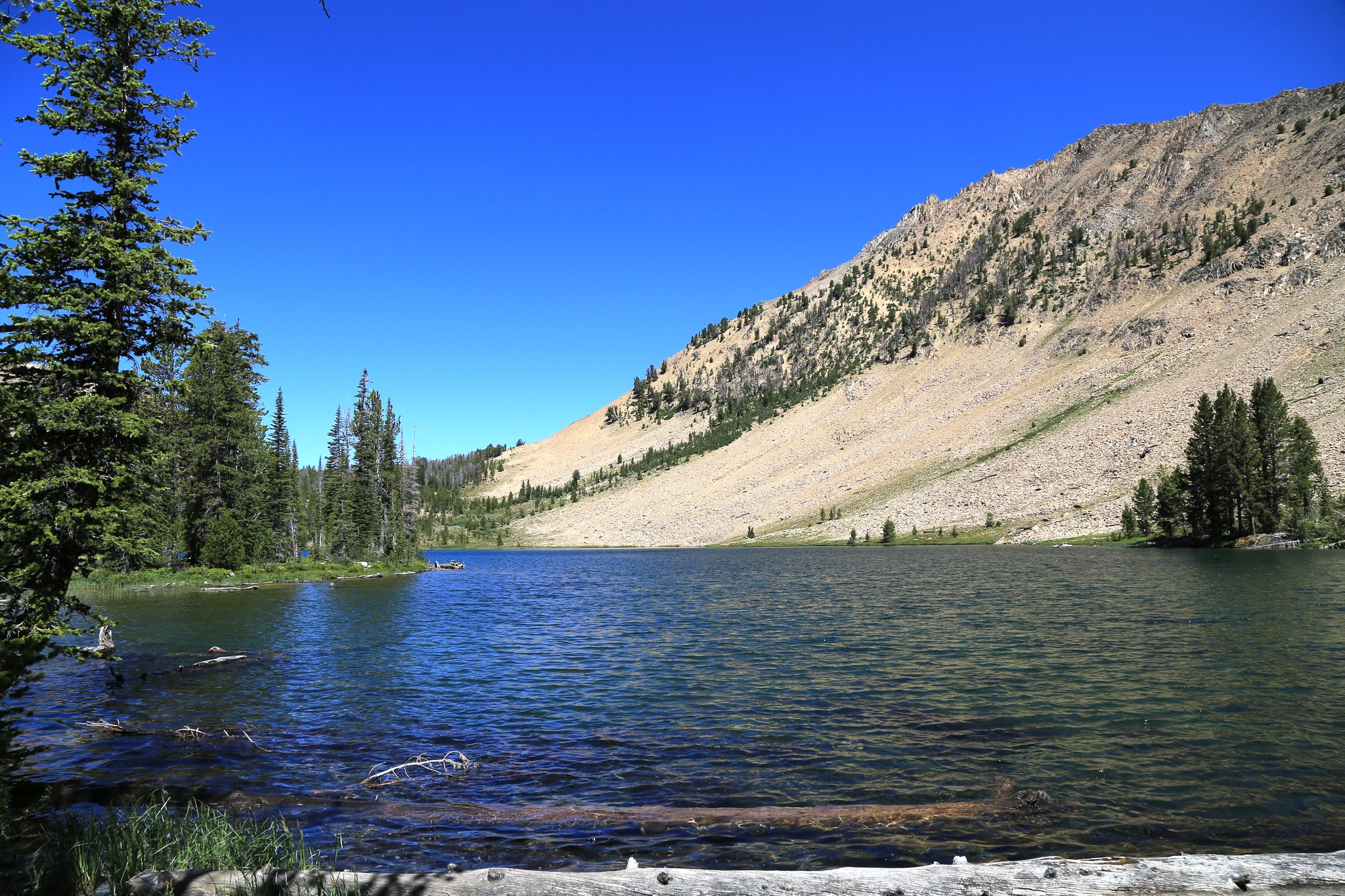 Washington Lake