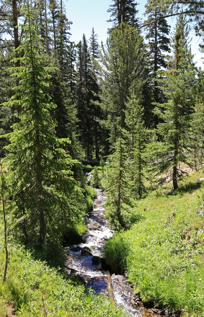 Washington Lake