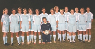 Team profile