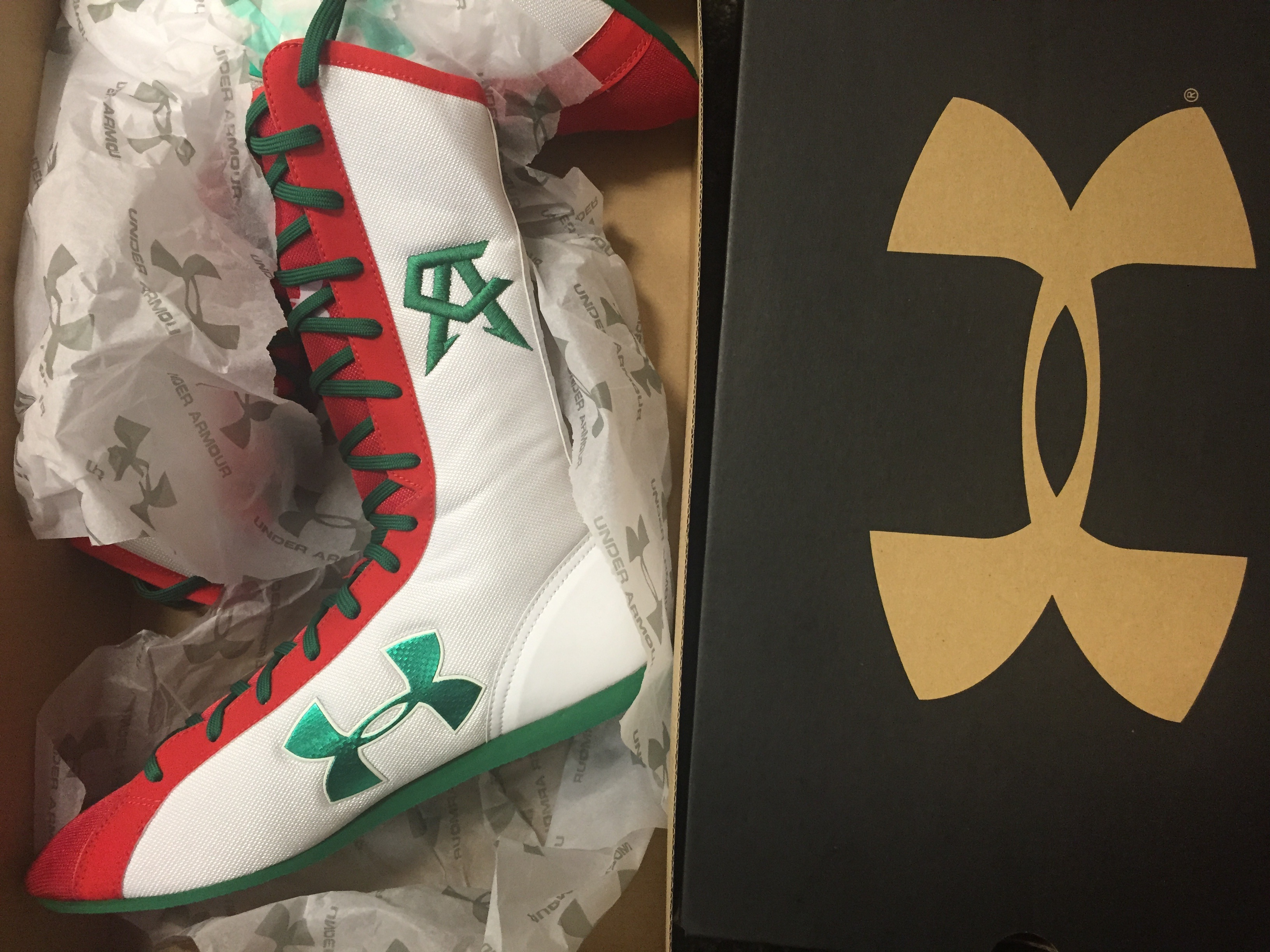 Charitybuzz A Pair of Prototype Under Armour Canelo