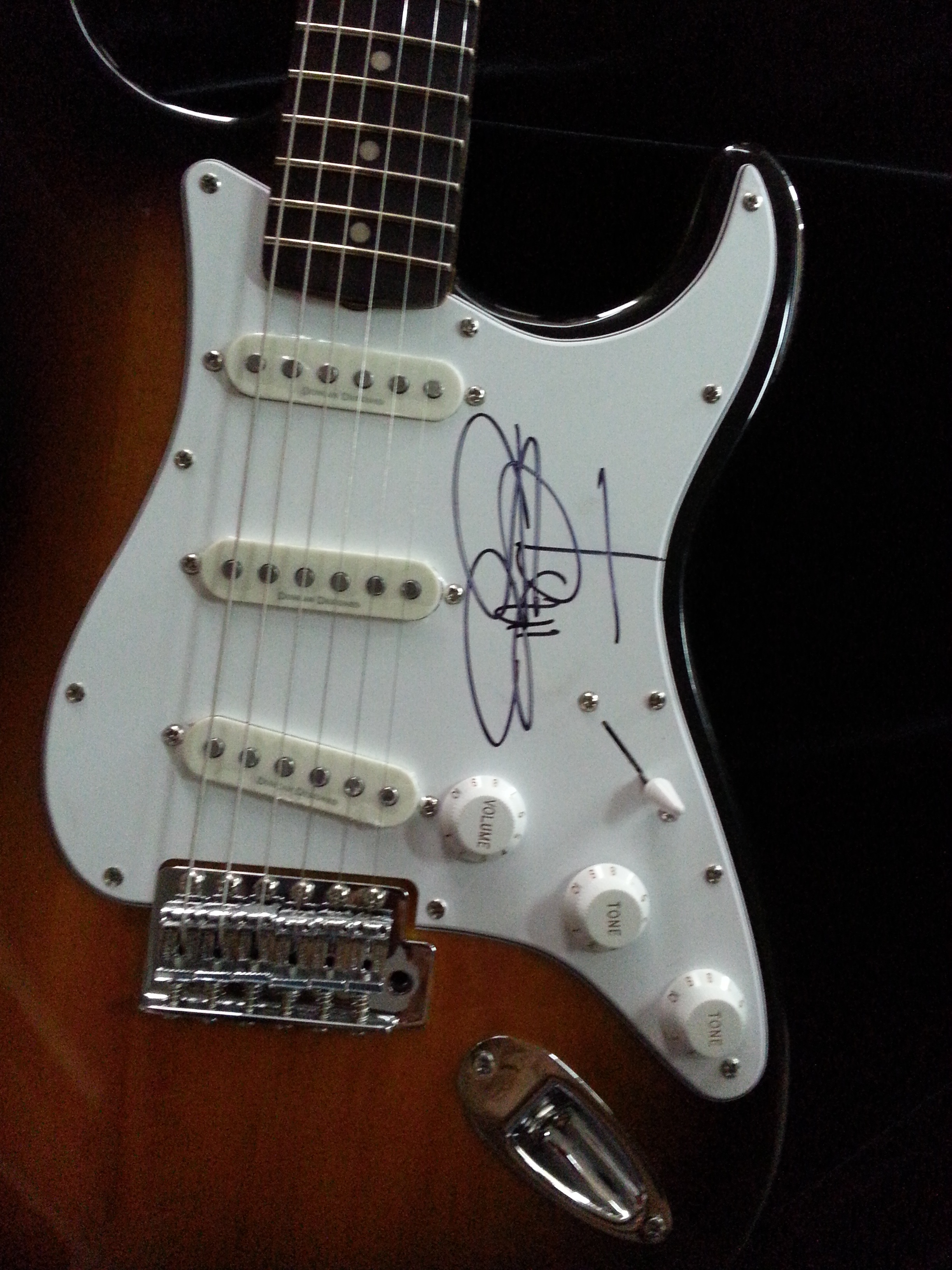 Charitybuzz Rick Springfield Autographed Fender Guitar Lot 3269109