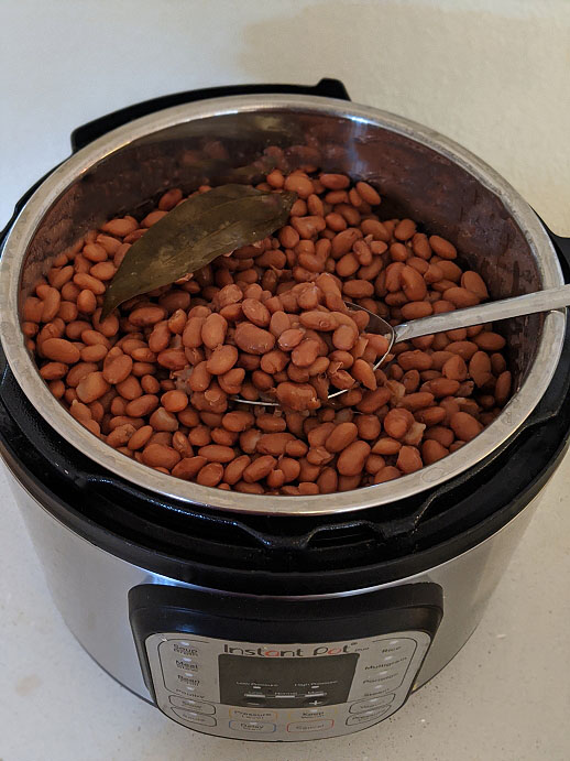 Easy Instant pot Pinto Beans | Cook Presoaked Pinto Beans Instant pot | How to cook Pinto Beans in Instant Pot after Soaking