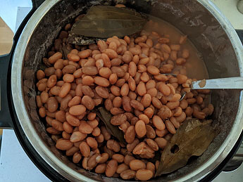 Easy Instant pot Pinto Beans | Cook Presoaked Pinto Beans Instant pot | How to cook Pinto Beans in Instant Pot after Soaking