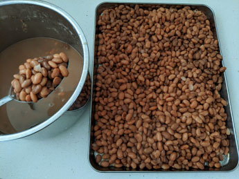 Easy Instant pot Pinto Beans | Cook Presoaked Pinto Beans Instant pot | How to cook Pinto Beans in Instant Pot after Soaking