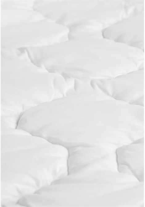  DAUNEN STEP | 23436BIANCO