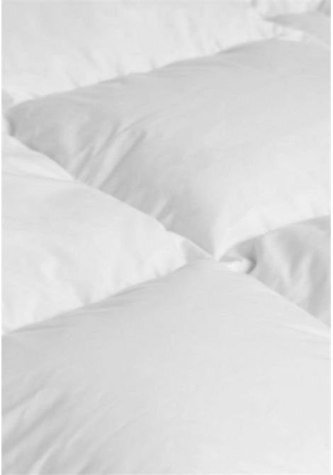  DAUNEN STEP | 27697BIANCO