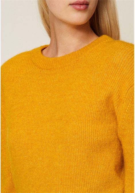  TWINSET | 252AP312112580