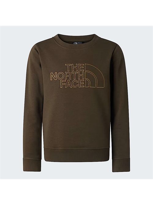 Felpa Drew Park verde THE NORTH FACE | NF0A8AXX21L1