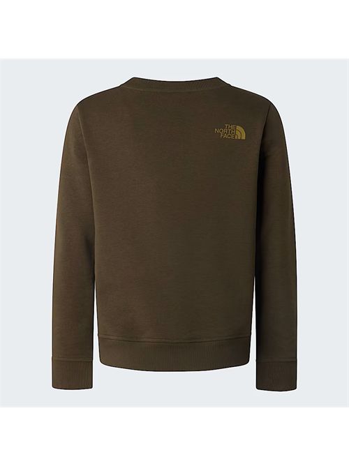 Felpa Drew Park verde THE NORTH FACE | NF0A8AXX21L1