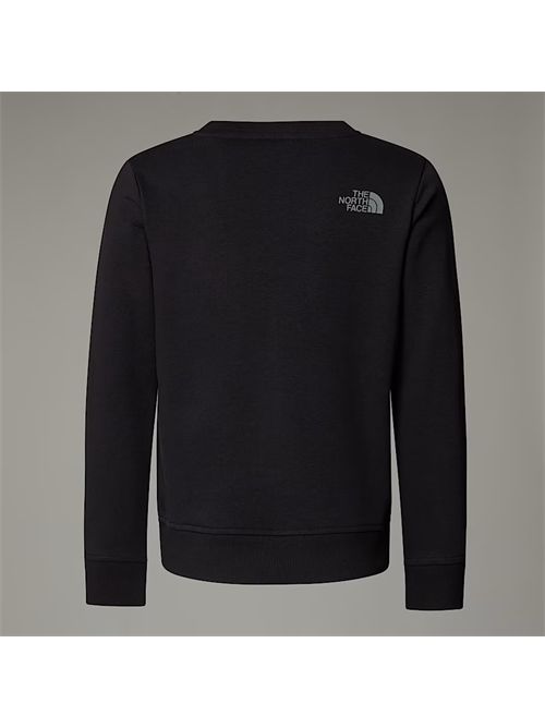 Felpa Drew Park nera THE NORTH FACE | NF0A8AXXJK31