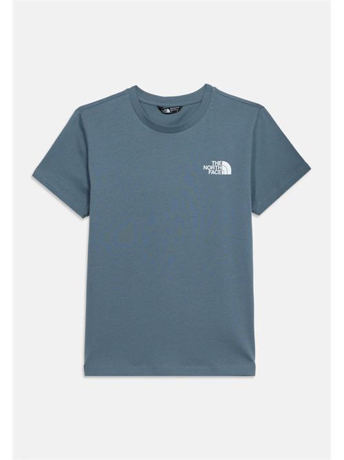 T-shirt logo grigia THE NORTH FACE | NF0A8EFN0U31
