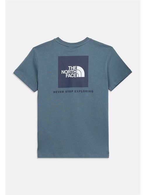 T-shirt logo grigia THE NORTH FACE | NF0A8EFN0U31