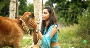 Teaser of TAARAJUVVALU