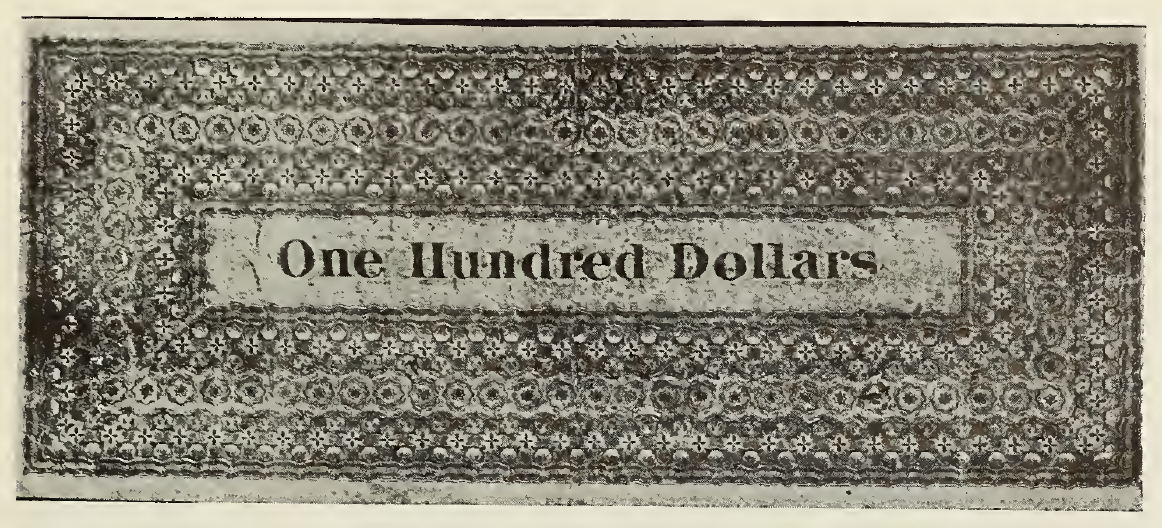 1863 - $100 - Eagle on Draped Shield back