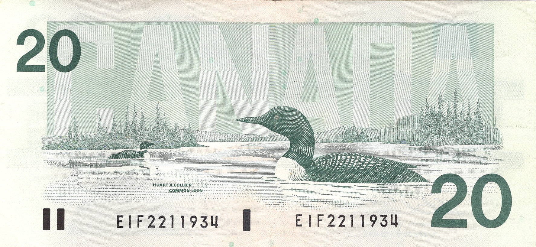 1993 - $20 - Queen Elizabeth II - Common Loon back