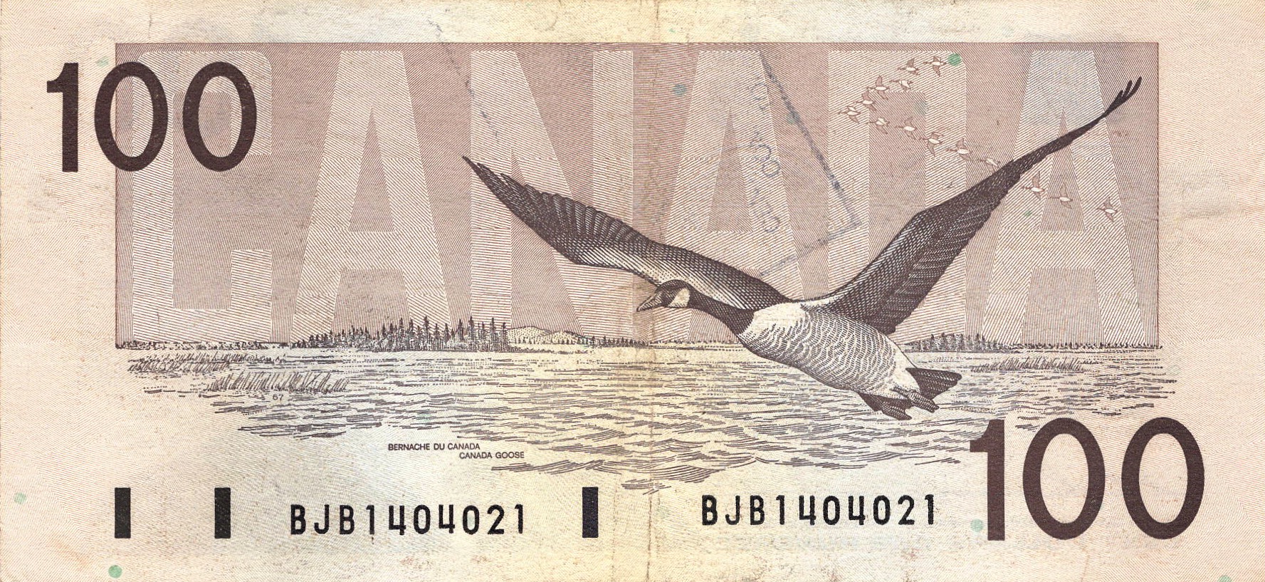 1990 - $100 - Sir Robert Borden - Canada Goose back