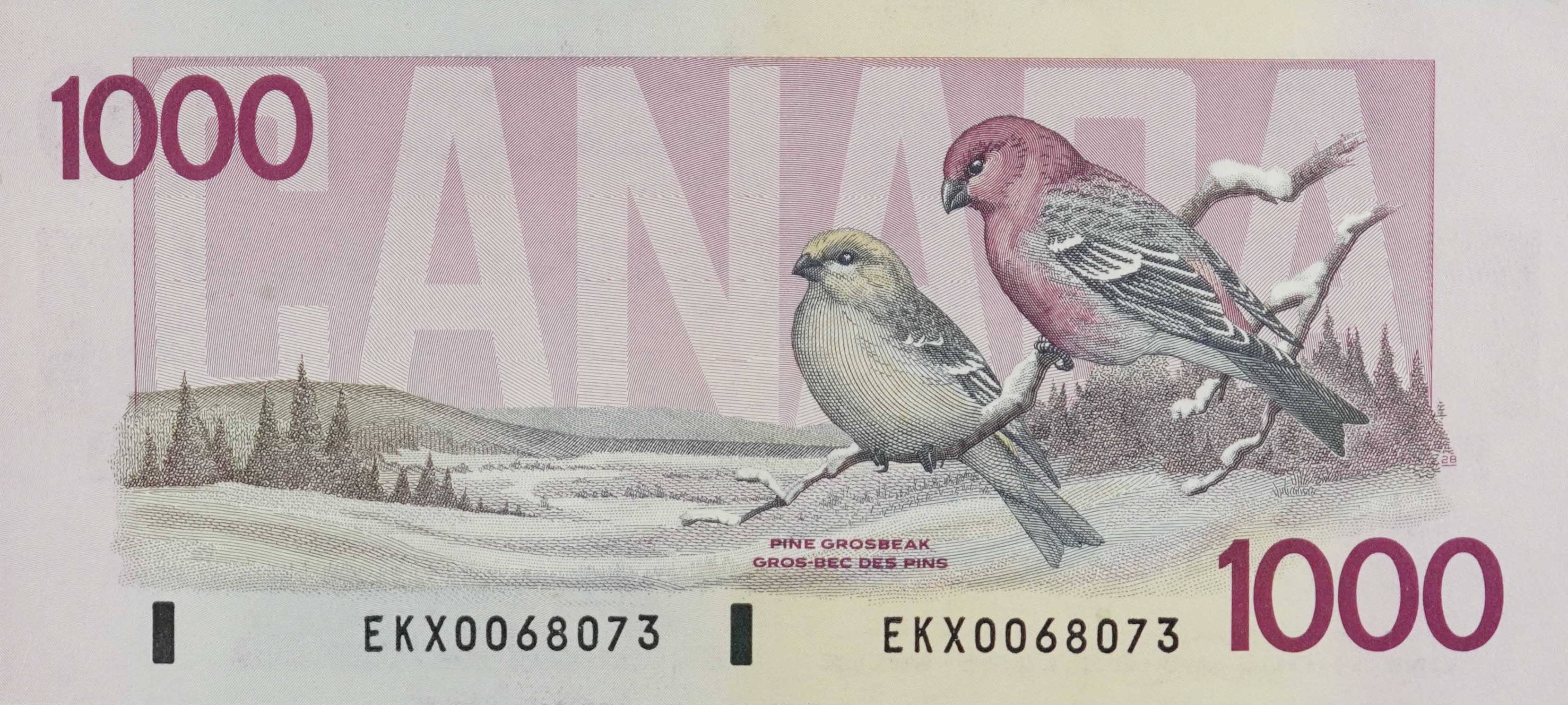 1992 - $1000 - Queen Elizabeth II - Pine Grosbeak back