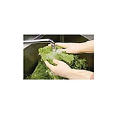 DayMark Powder-Free X-Large Latex Gloves
