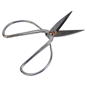 Town 7-1/2" Fish Shears