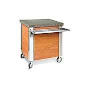 Dinex 6-Well Hot Food Counter