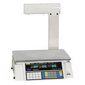 Globe Price Computing Scale with Display Tower
