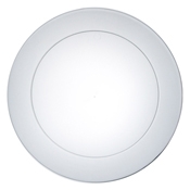 Party Essentials 10.25" Clear Party Plate