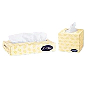 Surpass Facial Tissue 3,000 Count Case