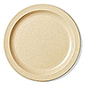 Cambro 9" Plates