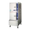 Cleveland 24CGA10.2ES Gemini 10 SST Convection Steamer