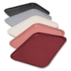 Dinex 15" x 20" Flat Patient Trays