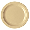 Cambro 10" Plates
