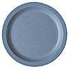 Cambro 8-1/4" Plates