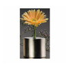 American Metalcraft Oval 4-3/8"H Bud Vase
