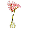 Cambro 6" Clear Bud Vases