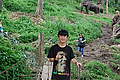 chung Wang