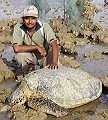 Arpit Deomurari