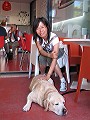 Xiaoping Li