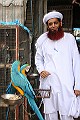 Syed  Tanvir Ali